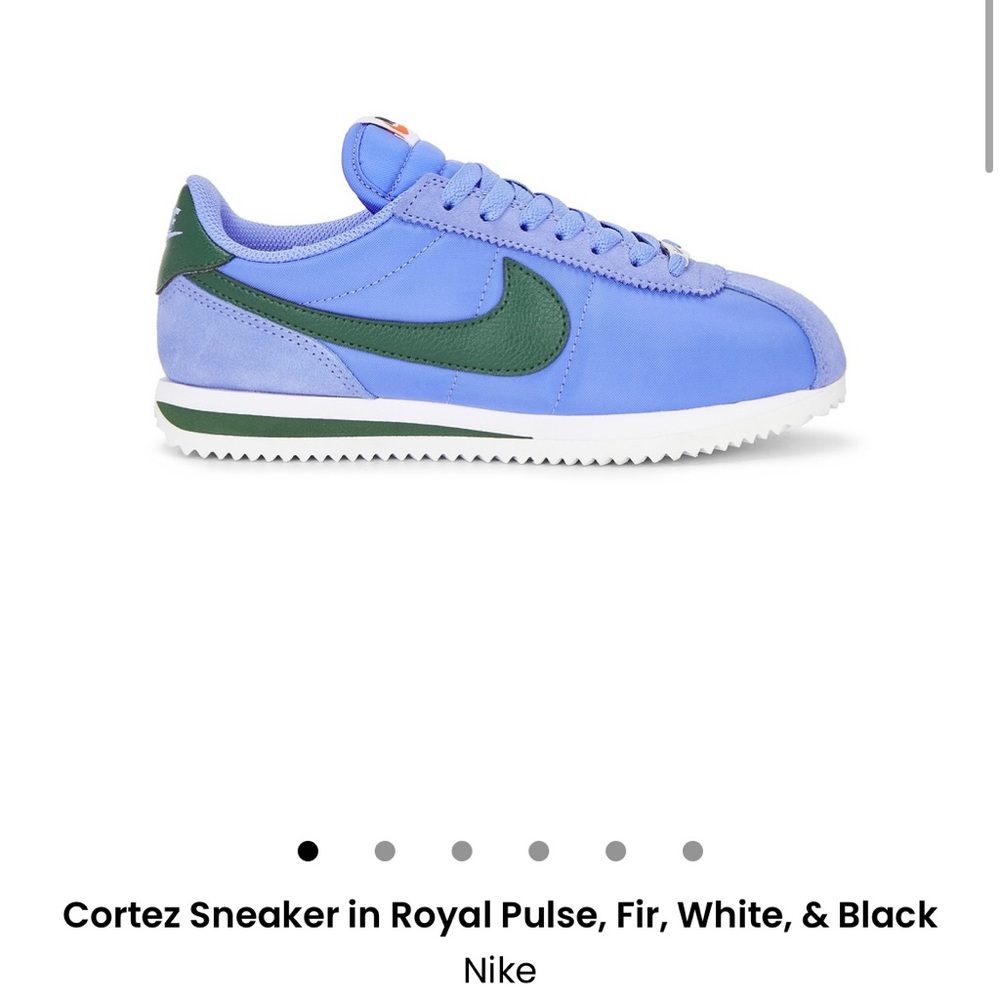 Nike Cortez Sneakers in Royal Blue and Green